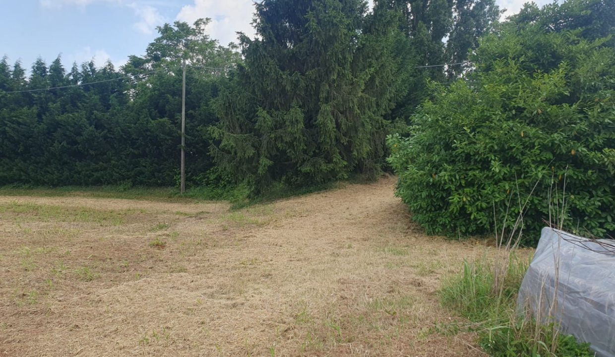 004__GRUPPOVELAgiardino1