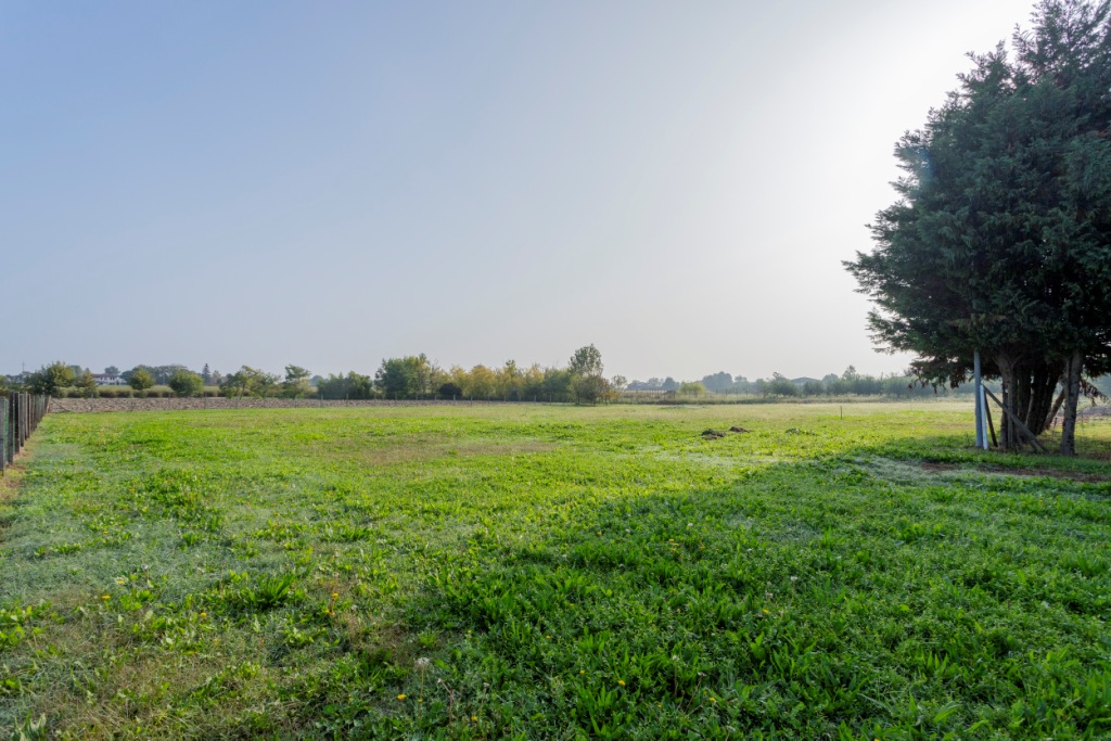 042__GRUPPOVELAgiardino3 (1)