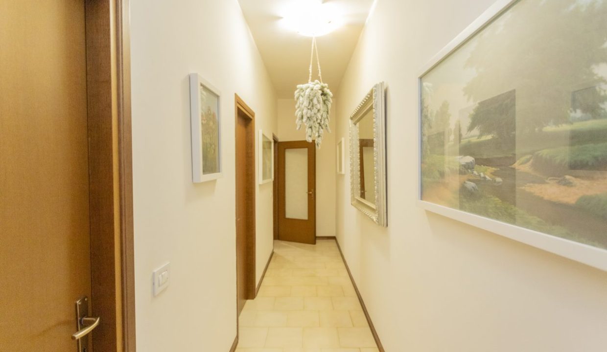 IMG_23861-101 - Copia