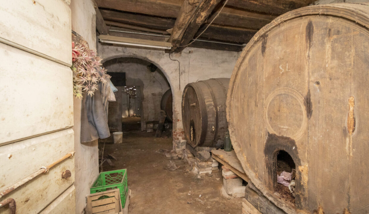 10 Gruppo Vela cantina rustico Conselve bis