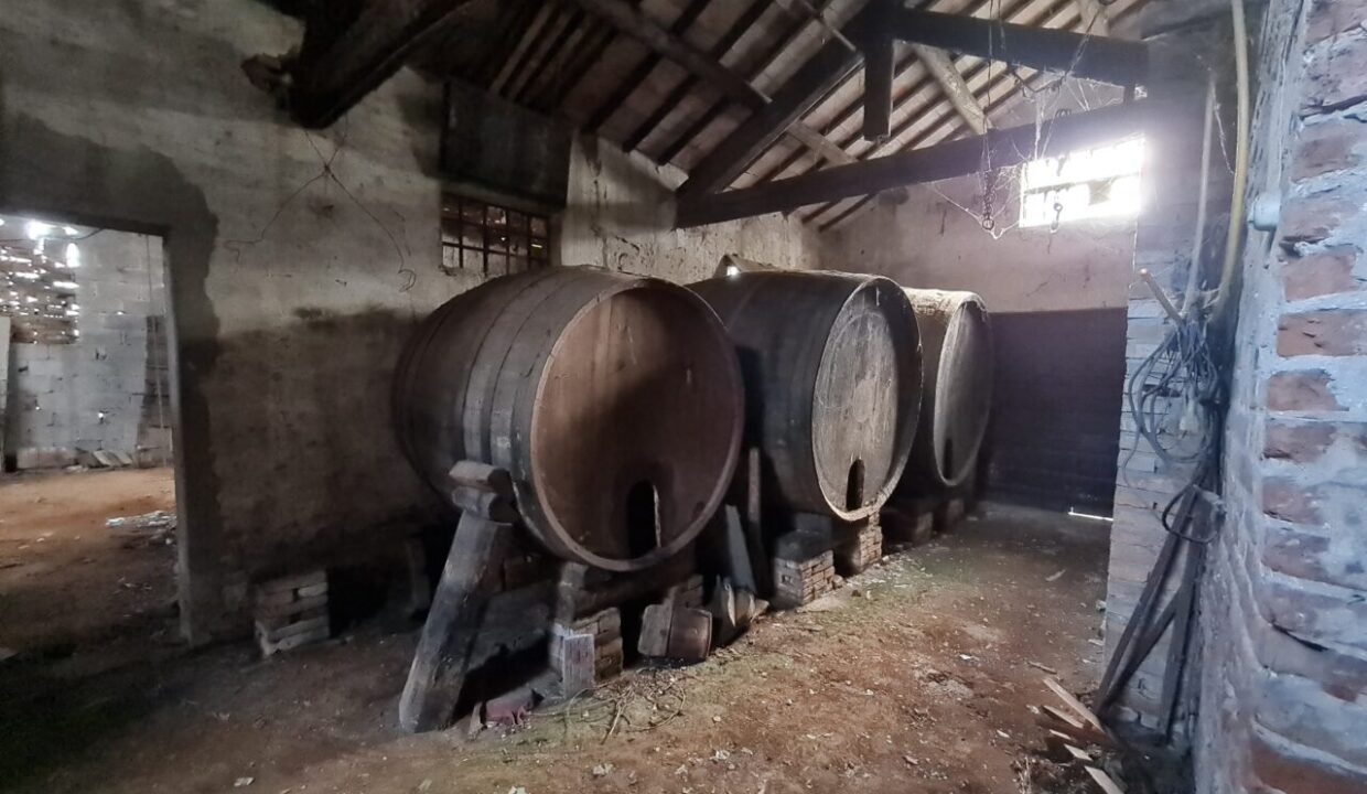 11 Gruppo Vela vista cantina rustico Conselve